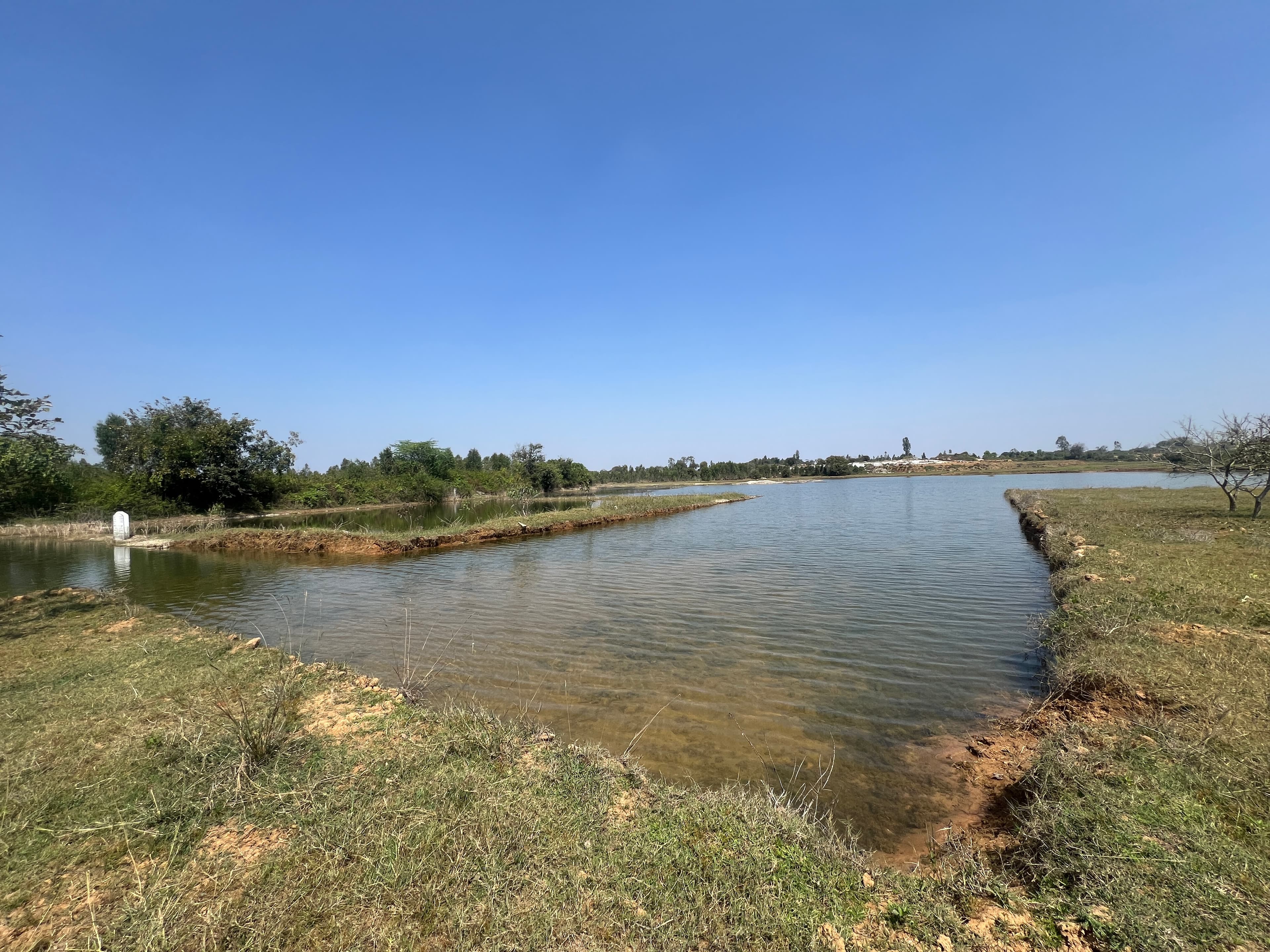 A rejuvenated GuruJal pond — clear blue sky, water meeting grass banks.