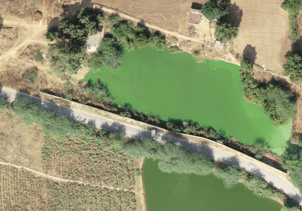 Maujabad Pond before restoration — degraded water body choked with waste and aquatic weeds