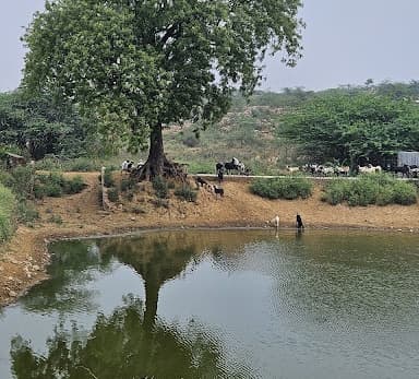 Freshwater Pond
