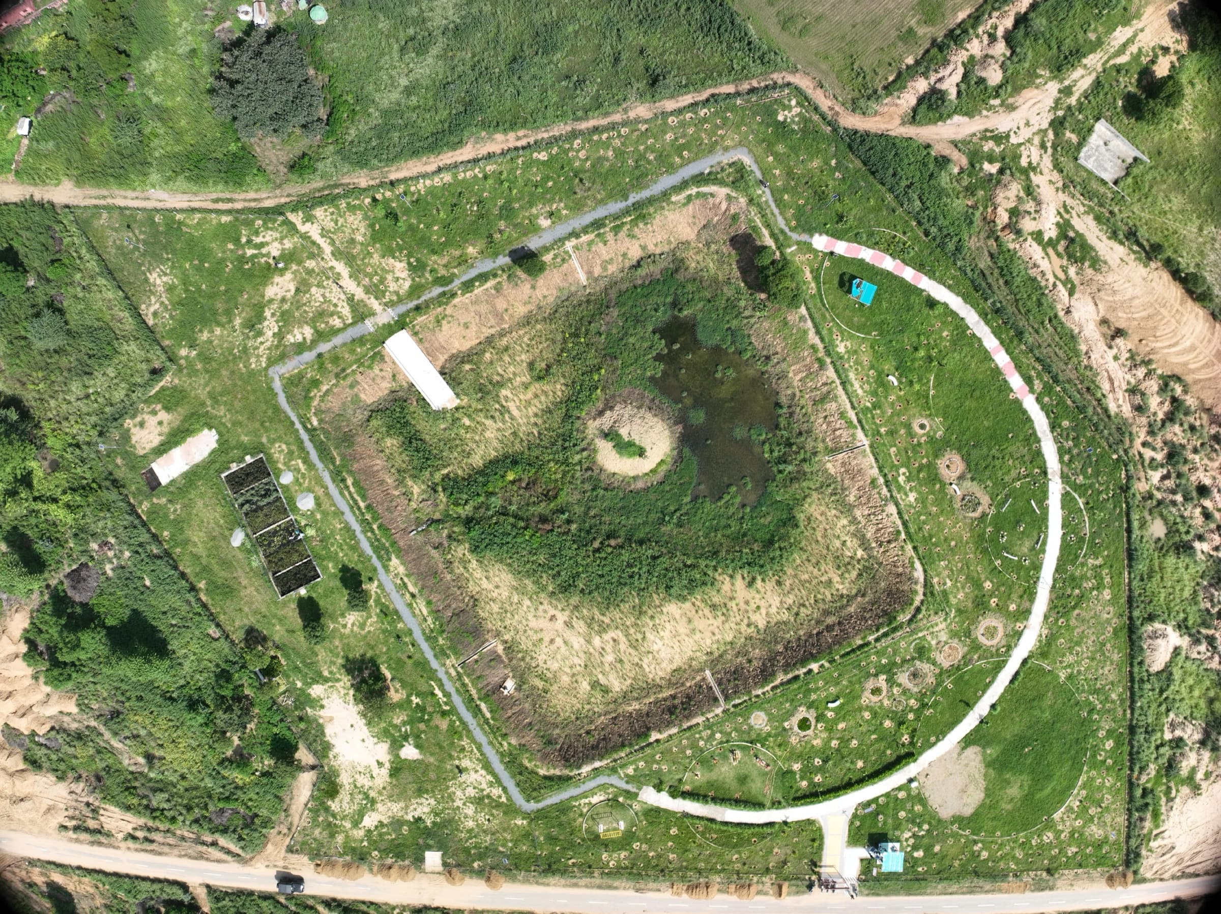 Triveni Pond after restoration โ lush, vegetated pond with a looped community pathway