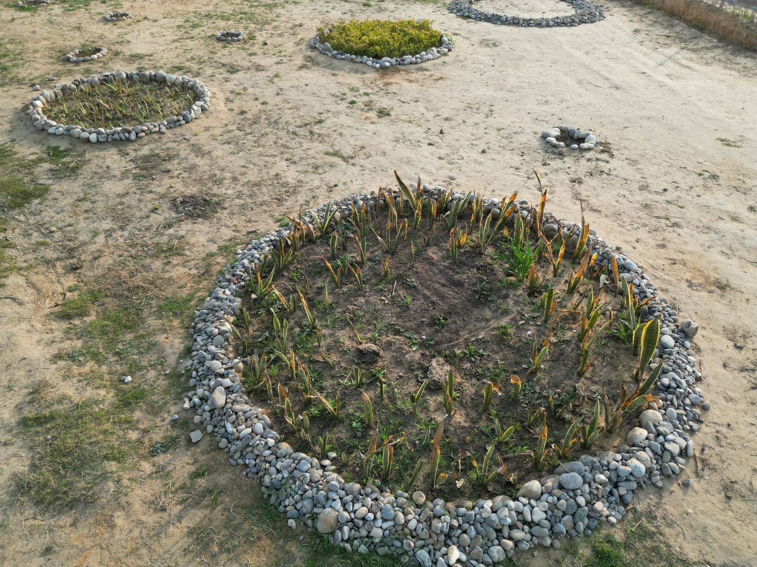 A circular planted bed with a stone border along the pathway